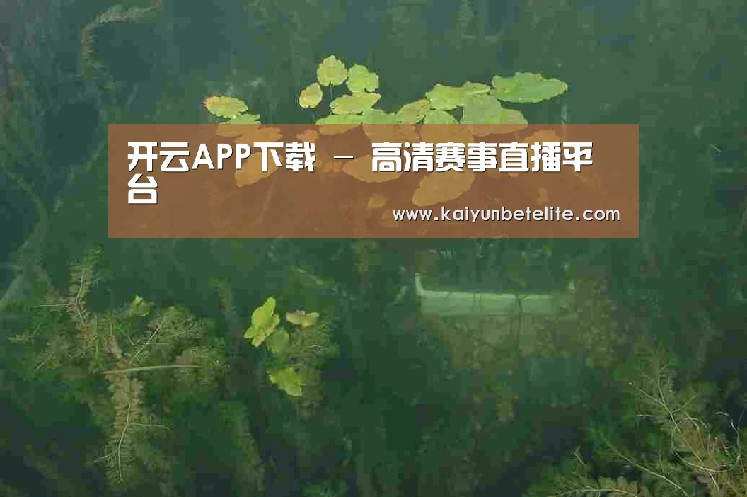 案例展示三