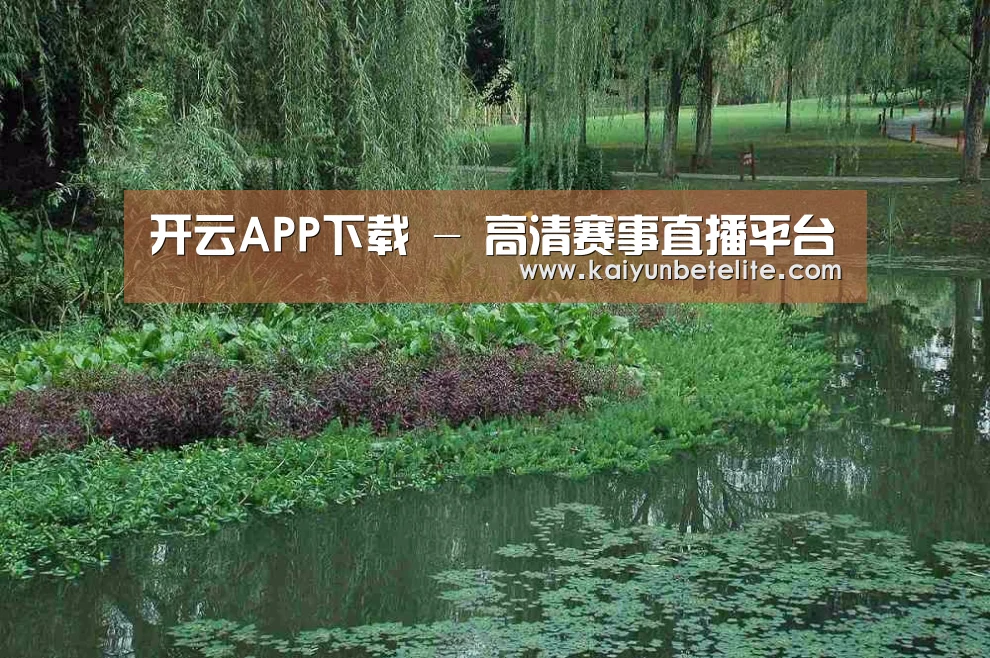 案例展示一