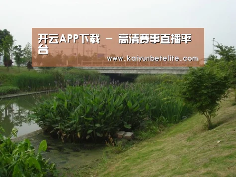 案例展示四