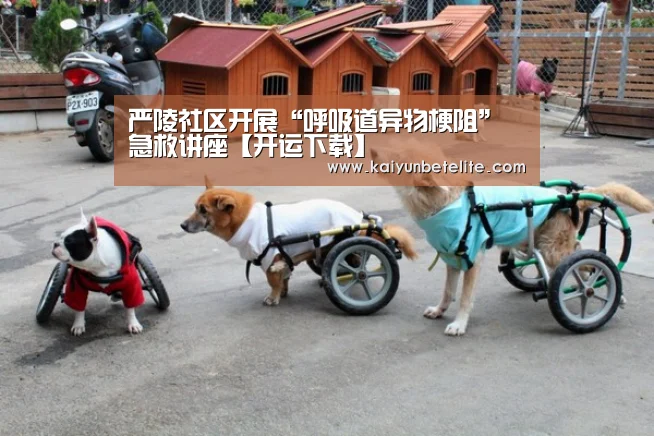 开运体育