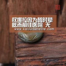 开运真人