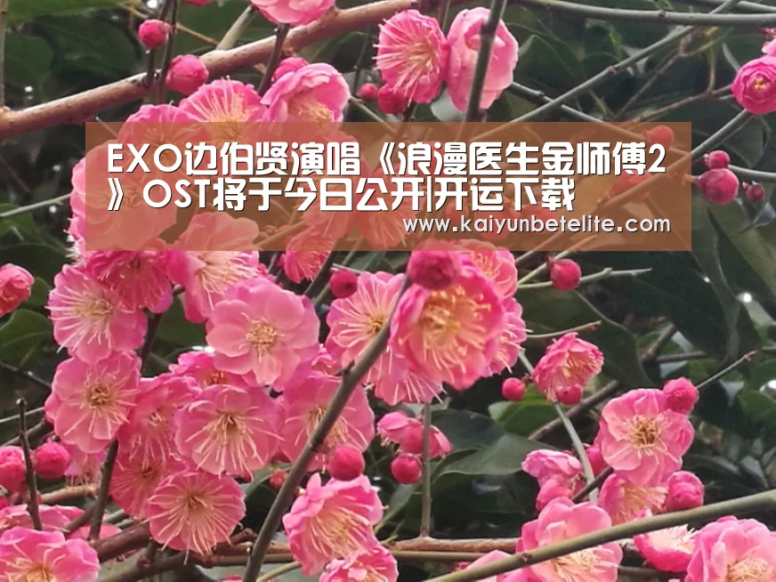 开运下载