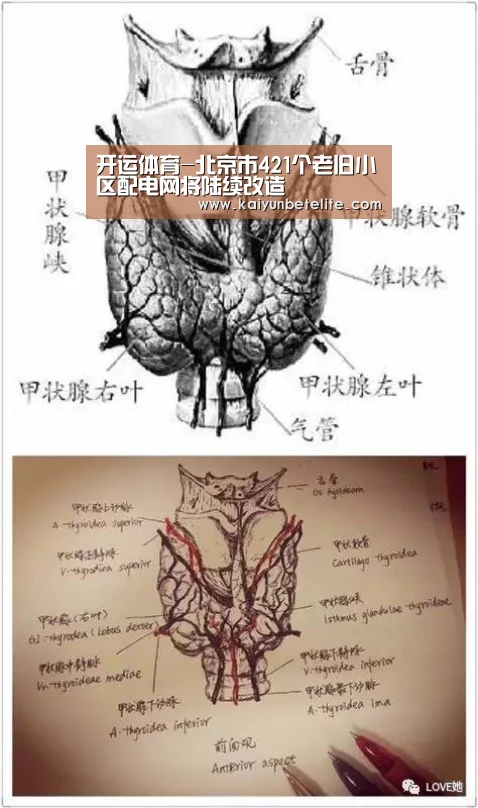 开运体育-北京市421个老旧小区配电网将陆续改造