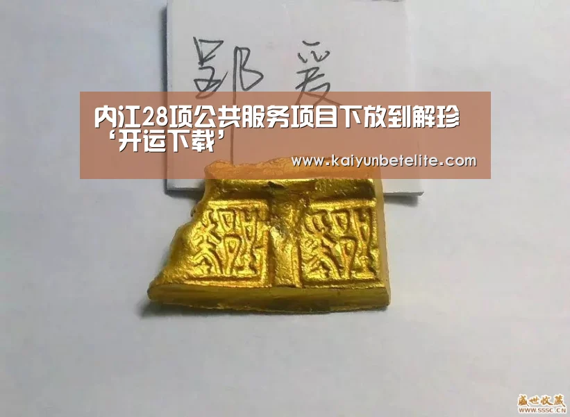 内江28项公共服务项目下放到解珍‘开运下载’(图2) 开运官网