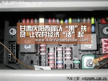 甘肃庆阳西峰以“果”扶贫 让农村经济“活”起来-开运下载(图3) 开运下载